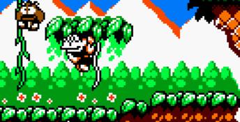 Game Boy Gallery 3 GBC Screenshot