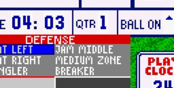Madden NFL 2002 GBC Screenshot