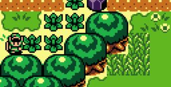 The Legend Of Zelda: Links Awakening Dx GBC Screenshot