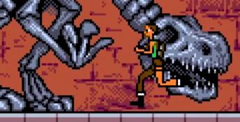 Tomb Raider: Curse of the Sword GBC Screenshot