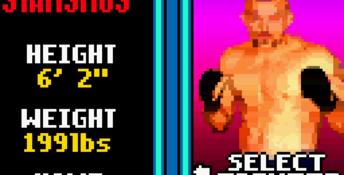 Ultimate Fighting Championship GBC Screenshot