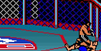 Ultimate Fighting Championship GBC Screenshot