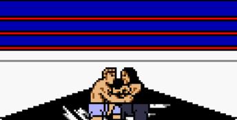 WWF WrestleMania 2000 GBC Screenshot