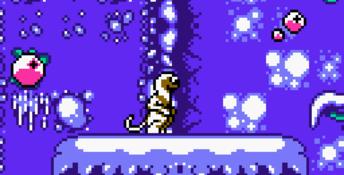 Zoboomafoo: Playtime in Zobooland GBC Screenshot