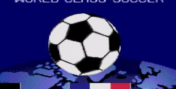 Champions World Class Soccer Genesis Screenshot