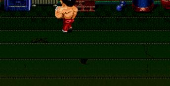 Ka-Ge-Ki - Fists of Steel Genesis Screenshot