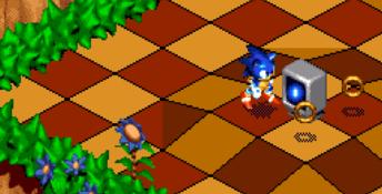 Sonic 3D Blast Genesis Screenshot