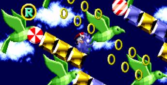 Sonic Special Stages Genesis Screenshot