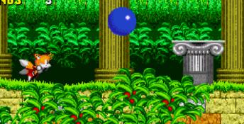Sonic the Hedgehog 2 Genesis Screenshot
