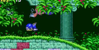 Sonic the Hedgehog 2 Genesis Screenshot