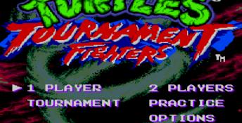 Teenage Mutant Hero Turtles: Tournament Fighters Genesis Screenshot