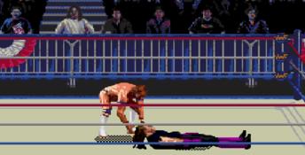 WWF Wrestlemania Arcade Genesis Screenshot