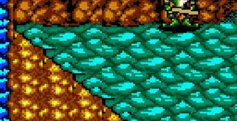 Battletoads GameGear Screenshot