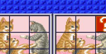 Puzzle And Action Ichidant GameGear Screenshot