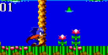 Sonic And Tails GameGear Screenshot