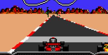 Checkered Flag Lynx Screenshot