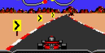 Checkered Flag Lynx Screenshot