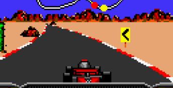 Checkered Flag Lynx Screenshot