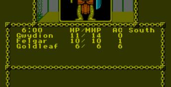 Advanced Dungeons and Dragons: Pool of Radiance NES Screenshot