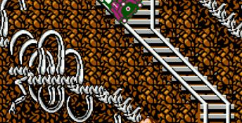 Adventures in the Magic Kingdom NES Screenshot