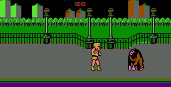 Bad Street Brawler NES Screenshot