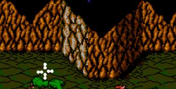 Battletoads NES Screenshot