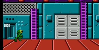 Battletoads & Double Dragon - The Ultimate Team NES Screenshot