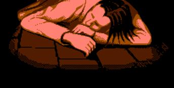 Bram Stoker's Dracula NES Screenshot
