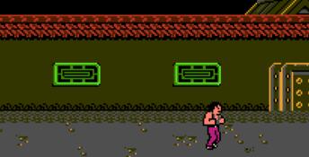 Challenge of the Dragon NES Screenshot