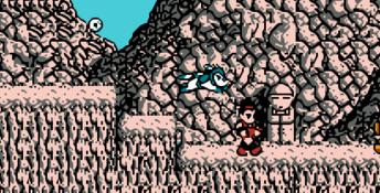 Conquest of the Crystal Palace NES Screenshot