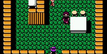 Crystalis NES Screenshot
