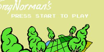 Greg Norman's Golf Power NES Screenshot