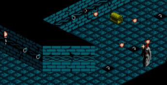 The Immortal NES Screenshot