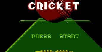 International Cricket NES Screenshot