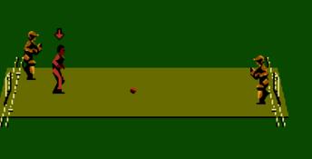 International Cricket NES Screenshot