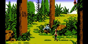 King's Quest 5 NES Screenshot