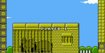 Kiwi Kraze NES Screenshot
