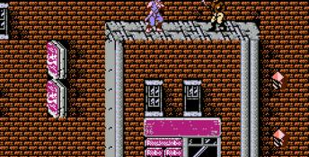 Ninja Gaiden NES Screenshot