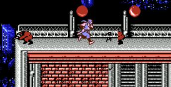 Ninja Gaiden 2: The Dark Sword of Chaos NES Screenshot