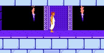 Prince of Persia NES Screenshot
