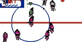 Pro Sport Hockey NES Screenshot