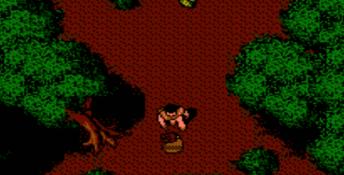 Robin Hood: Prince of Thieves NES Screenshot
