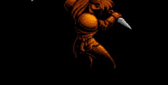 Shadow of the Ninja NES Screenshot