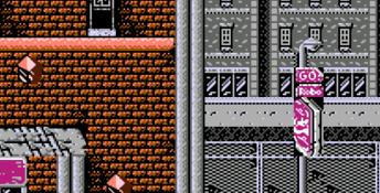 Shadow Warriors NES Screenshot