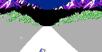 Slalom NES Screenshot