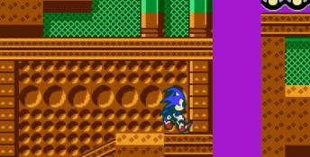Sonic 3D Blast 5 NES Screenshot