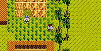 StarTropics NES Screenshot