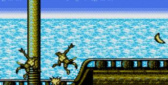 Super Donkey Kong 2 NES Screenshot