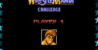 WWF WrestleMania Challenge NES Screenshot
