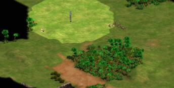 Age of Empires II HD PC Screenshot